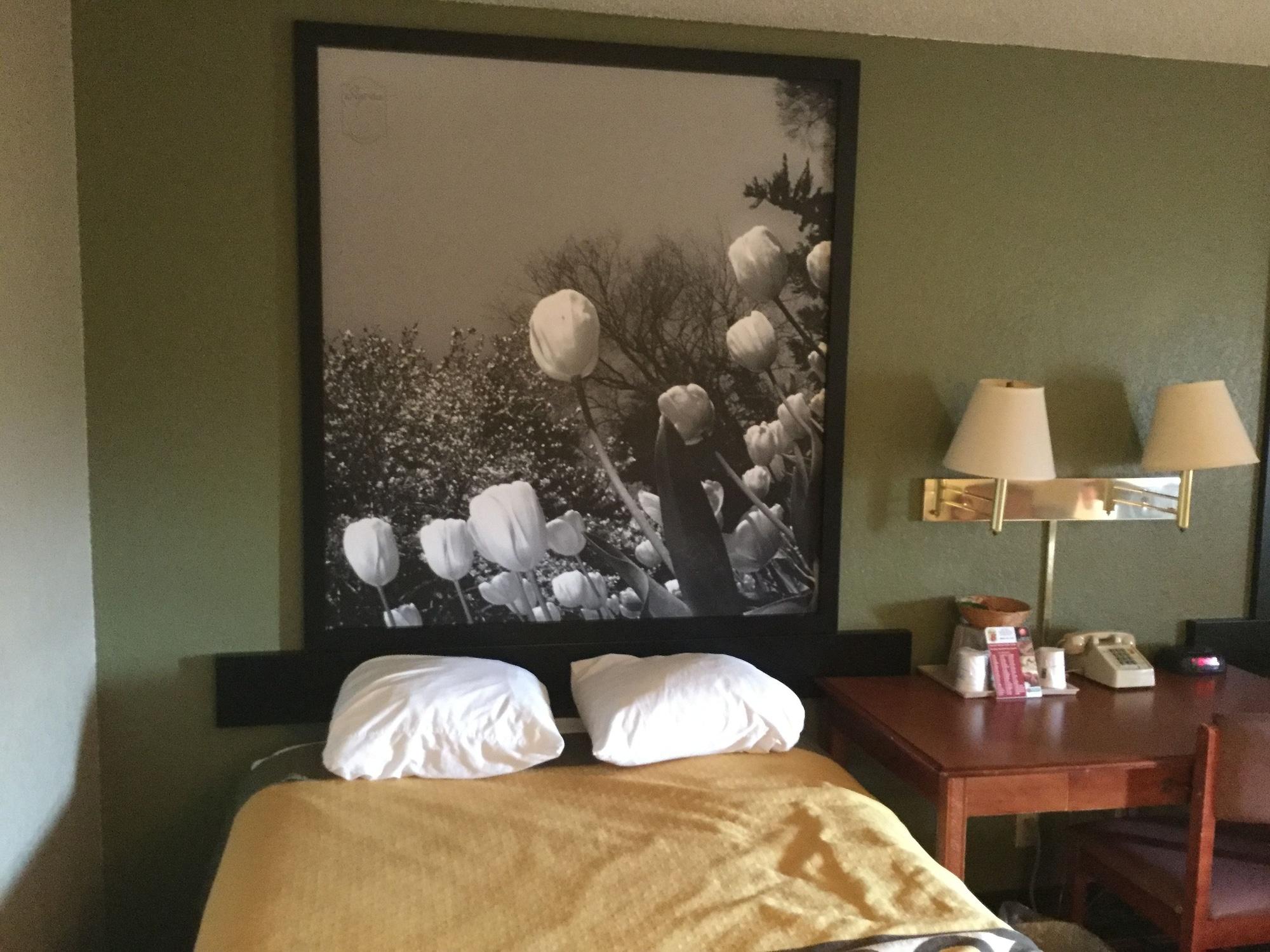 Super 8 By Wyndham Youngstown/Austintown Экстерьер фото